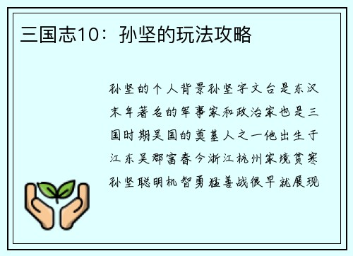 三国志10：孙坚的玩法攻略
